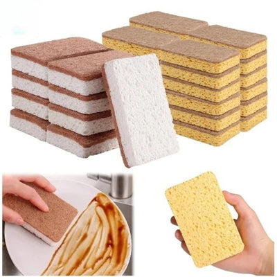 Biodegradable Kitchen Sponge Set — Cellulose & Coconut