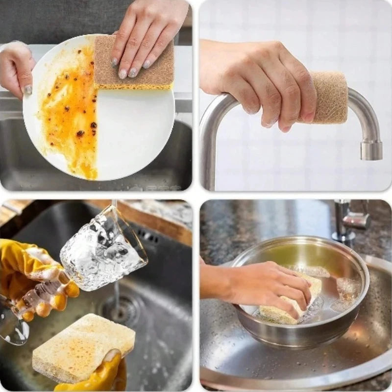 Biodegradable Kitchen Sponge Set — Cellulose & Coconut